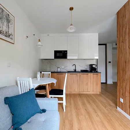 公寓 Kosciuszki 22 By Homeprime 克拉科夫